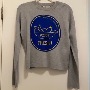 Opening Ceremony Fresh! Intarsia Sweater (S)